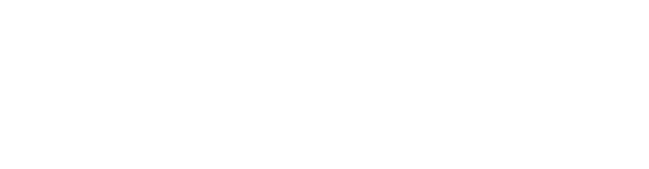 Webinar Partner